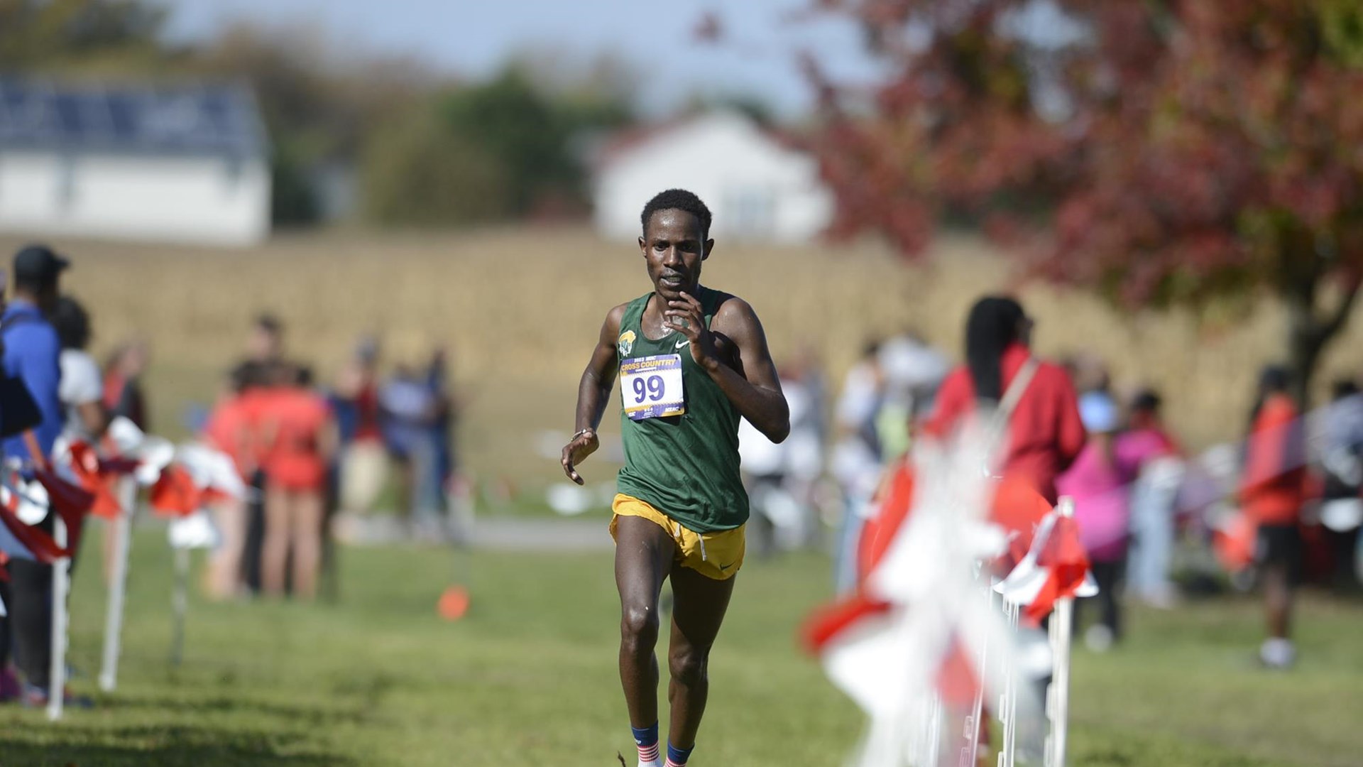 Men's Cross-Country Recap, August 31