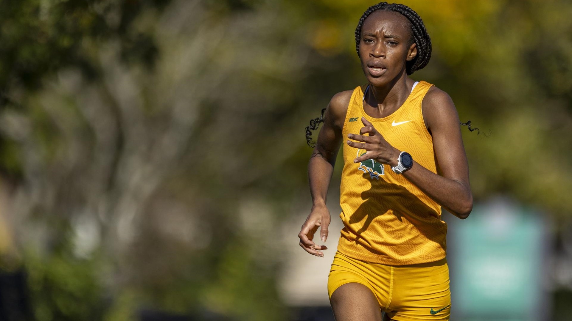 Women's Cross-Country Recap, Sept. 14