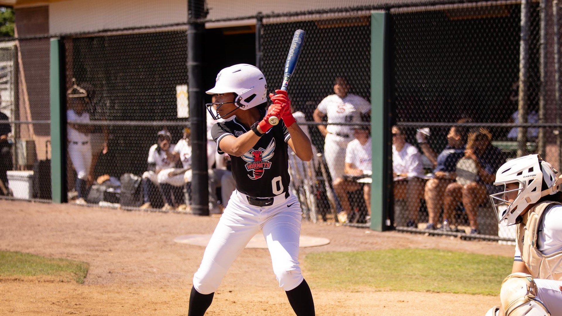 Delaware State Advances in MEAC Softball Tournament with 4-1 Win Over South Carolina State